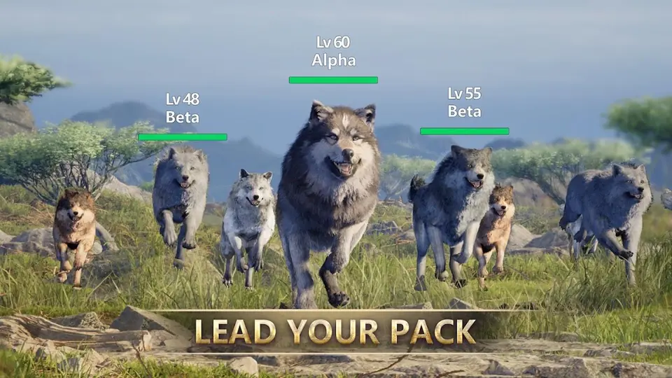 A line of five wolves marked with alpha and beta rank labels running across grass