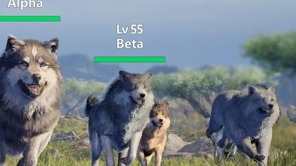 Close-up of two ranked wolves labelled Alpha and Beta leading a pack